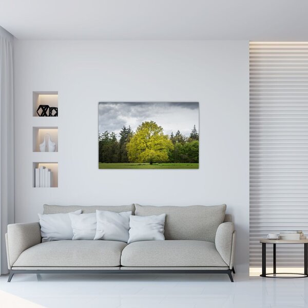 Tablou - Copac verde în câmp (90x60 cm)