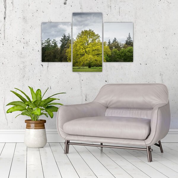 Tablou - Copac verde în câmp (90x60 cm)