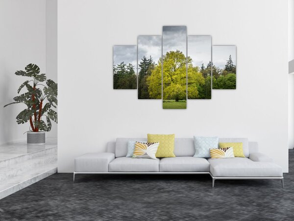 Tablou - Copac verde în câmp (150x105 cm)