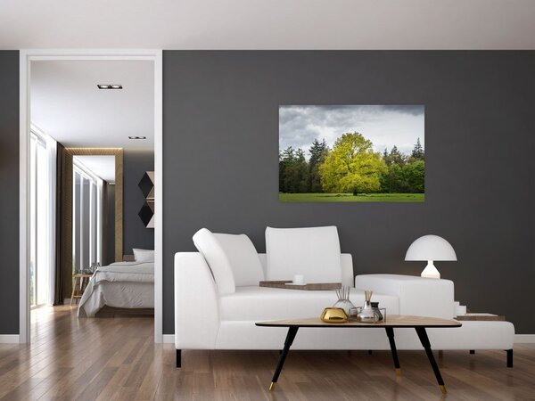 Tablou - Copac verde în câmp (90x60 cm)