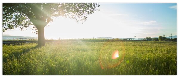 Tablou - Copac în câmp (120x50 cm)