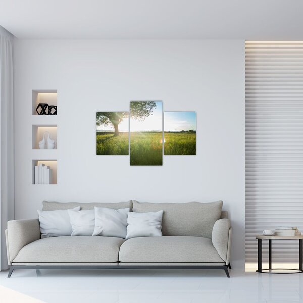 Tablou - Copac în câmp (90x60 cm)