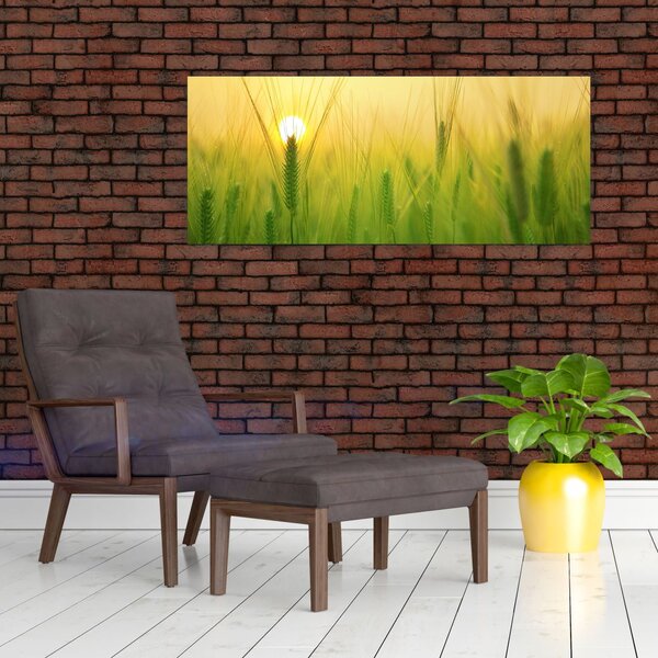Tablou - Câmp cu cereale (120x50 cm)