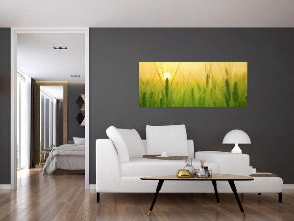 Tablou - Câmp cu cereale (120x50 cm)