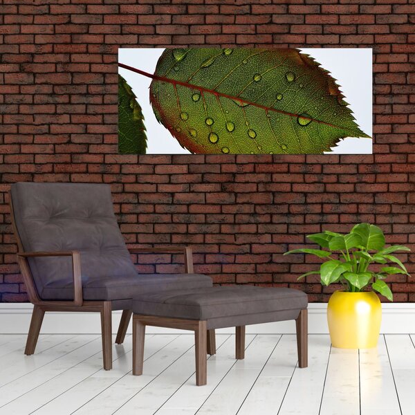 Tablou - Frunze de trandafir (120x50 cm)