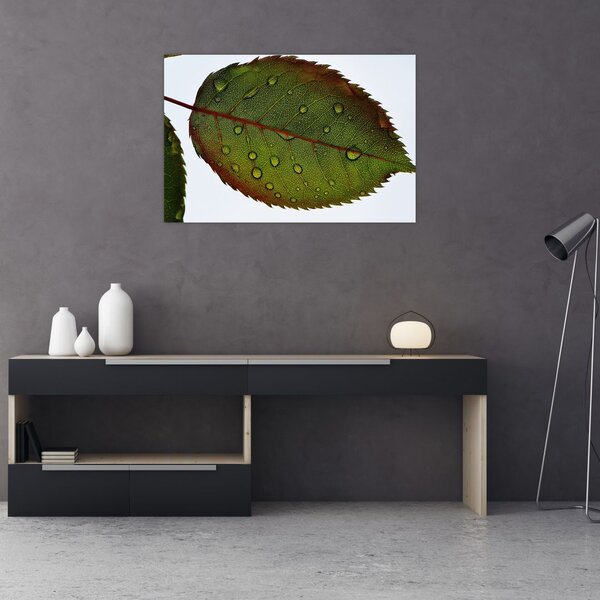 Tablou - Frunze de trandafir (90x60 cm)