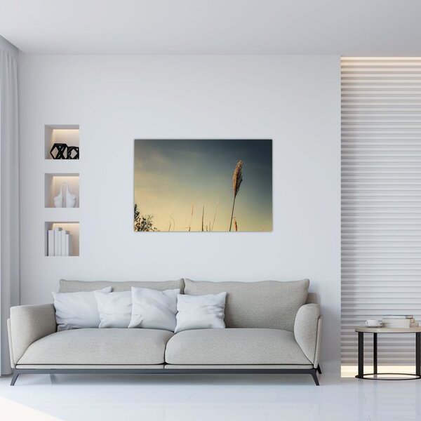 Tablou - Iarba (90x60 cm)