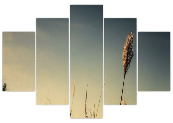 Tablou - Iarba (150x105 cm)