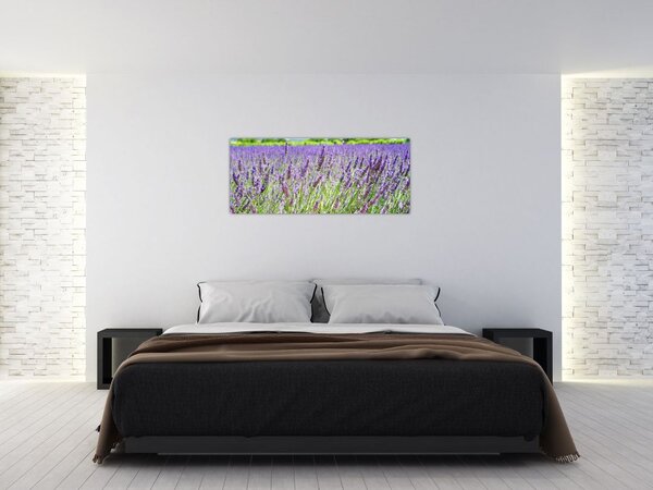 Tablou - Lavandă în câmp (120x50 cm)