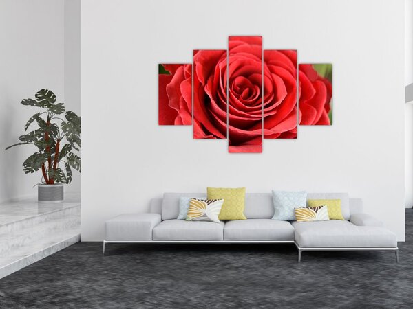 Tablou - Flori de trandafir (150x105 cm)