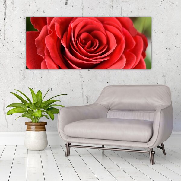 Tablou - Flori de trandafir (120x50 cm)