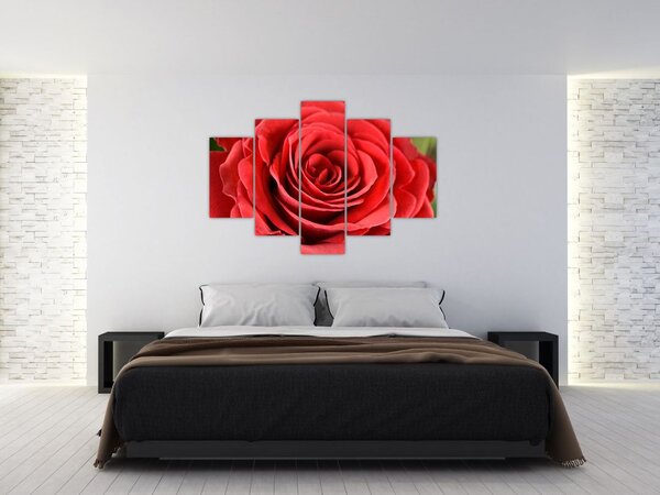 Tablou - Flori de trandafir (150x105 cm)