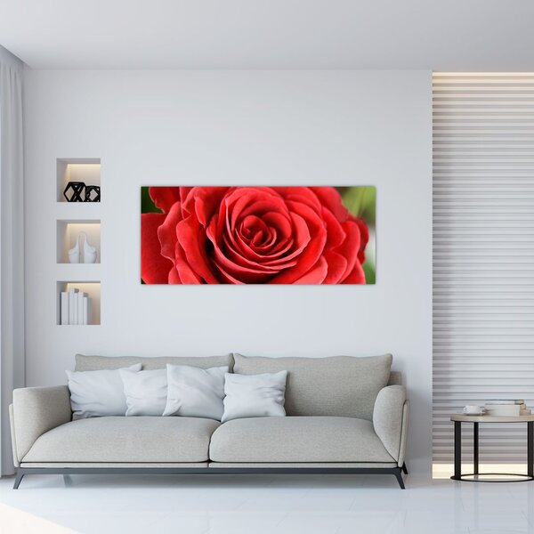 Tablou - Flori de trandafir (120x50 cm)