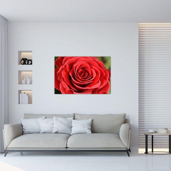 Tablou - Flori de trandafir (90x60 cm)