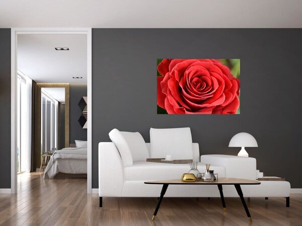 Tablou - Flori de trandafir (90x60 cm)