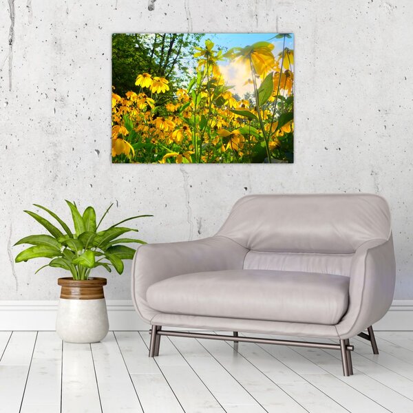 Tablou - Flori galbene (70x50 cm)