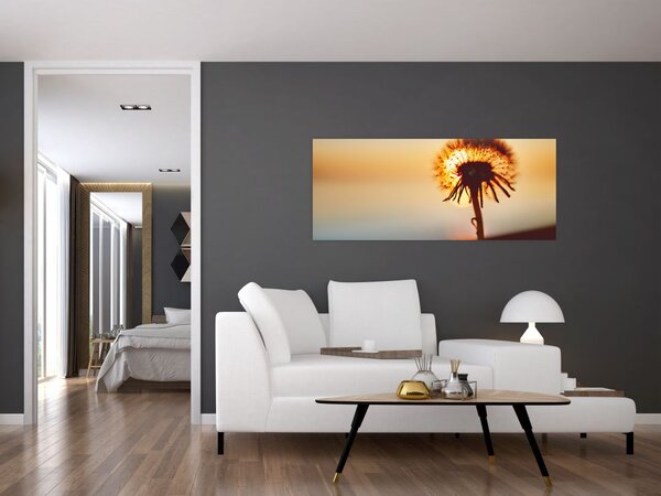 Tablou - Păpădie la apus de soare (120x50 cm)