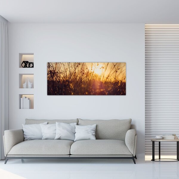 Tablou - Câmp la apus de soare (120x50 cm)