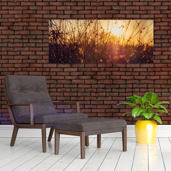 Tablou - Câmp la apus de soare (120x50 cm)