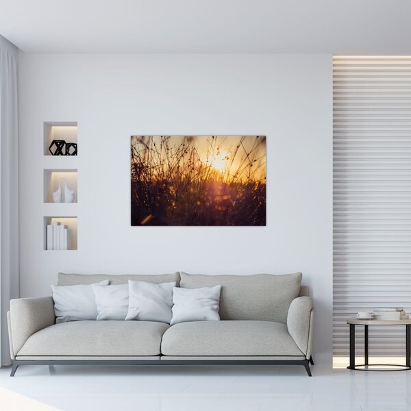 Tablou - Câmp la apus de soare (90x60 cm)