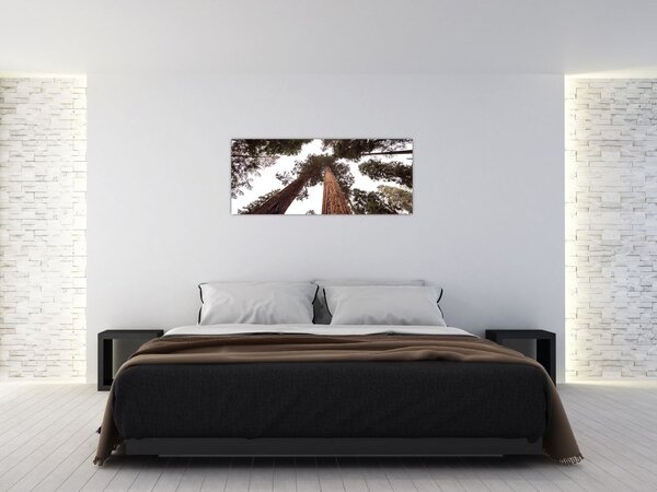 Tablou - Privire prin vârfurile copacilor (120x50 cm)