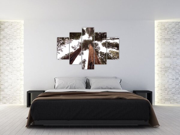 Tablou - Privire prin vârfurile copacilor (150x105 cm)