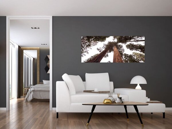 Tablou - Privire prin vârfurile copacilor (120x50 cm)