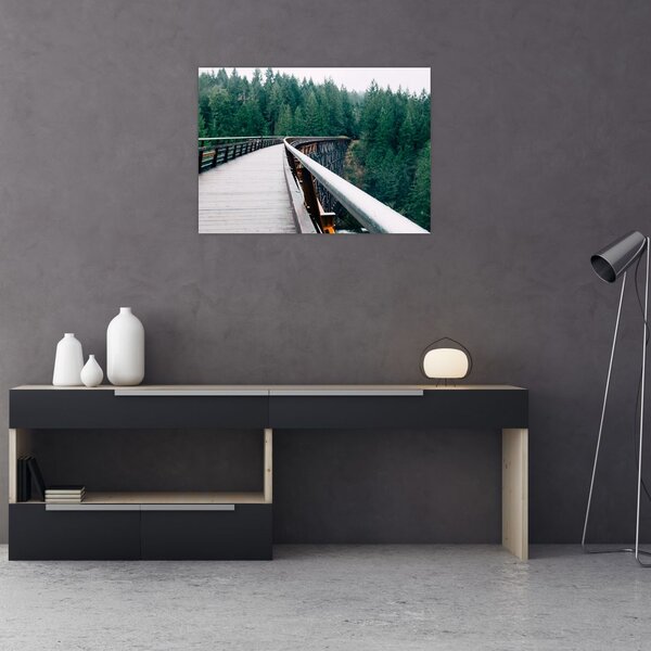 Tablou - Pod spre vârfurile copacilor (70x50 cm)