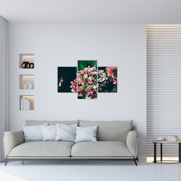 Tablou - Hortensie (90x60 cm)