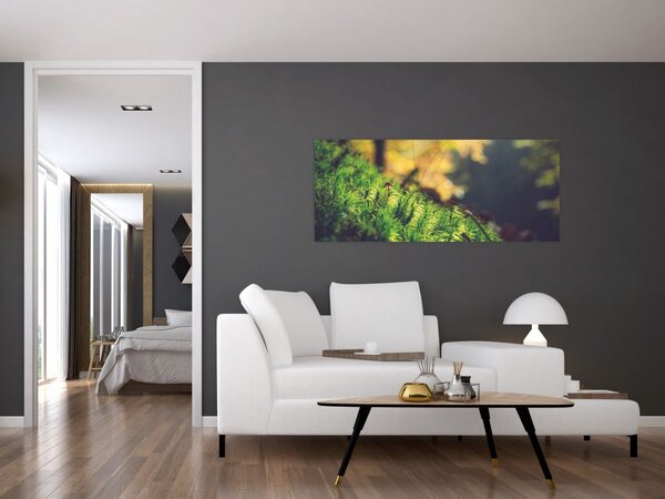 Tablou - Ciupercă și muschi (120x50 cm)