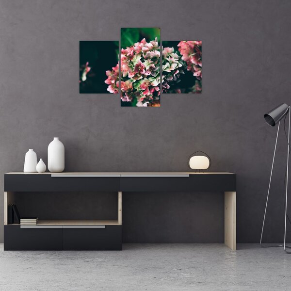 Tablou - Hortensie (90x60 cm)