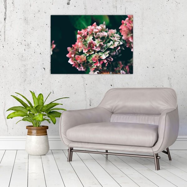 Tablou - Hortensie (70x50 cm)