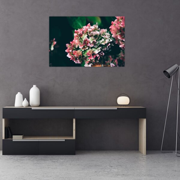 Tablou - Hortensie (90x60 cm)