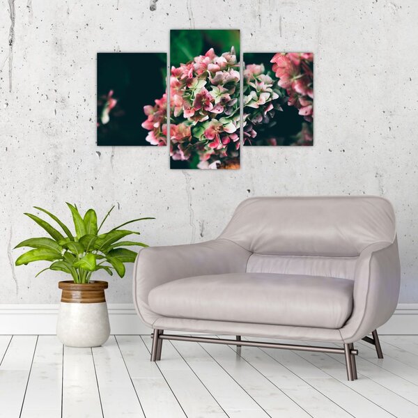 Tablou - Hortensie (90x60 cm)