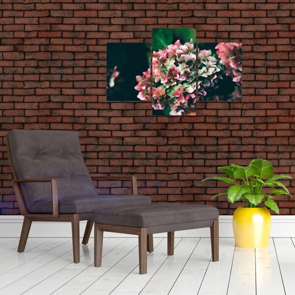 Tablou - Hortensie (90x60 cm)