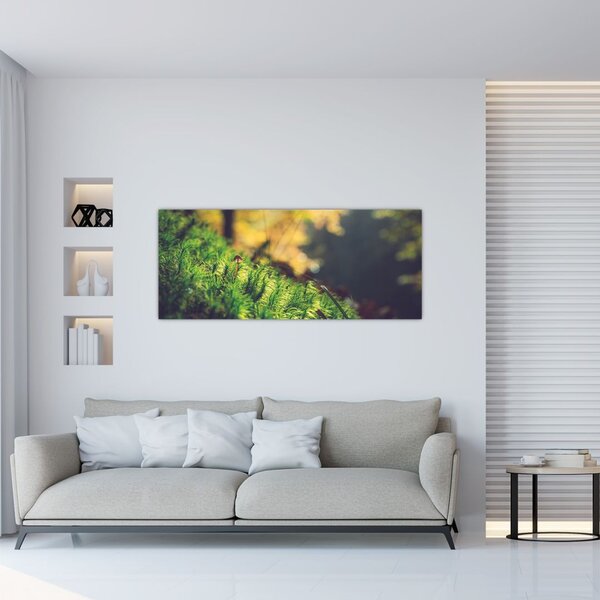 Tablou - Ciupercă și muschi (120x50 cm)