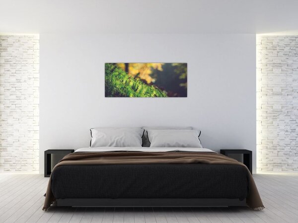 Tablou - Ciupercă și muschi (120x50 cm)