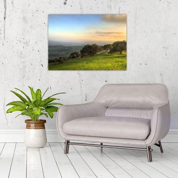 Tablou - Privire de pe deal (70x50 cm)