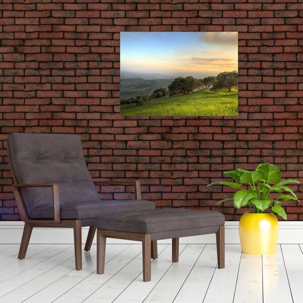 Tablou - Privire de pe deal (70x50 cm)