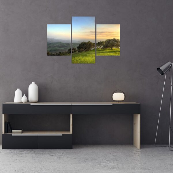 Tablou - Privire de pe deal (90x60 cm)