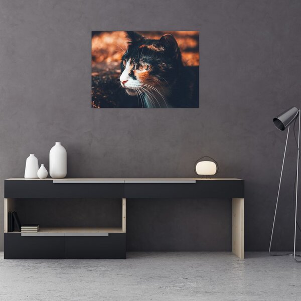 Tablou - Privirea pisicii (70x50 cm)