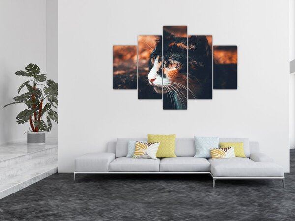 Tablou - Privirea pisicii (150x105 cm)