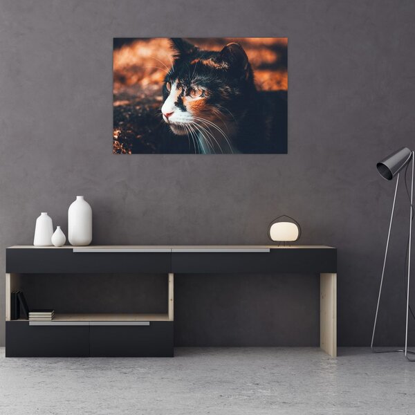 Tablou - Privirea pisicii (90x60 cm)