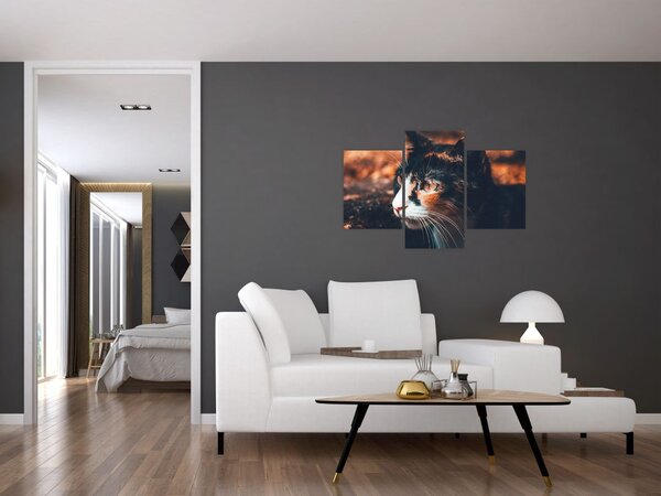 Tablou - Privirea pisicii (90x60 cm)