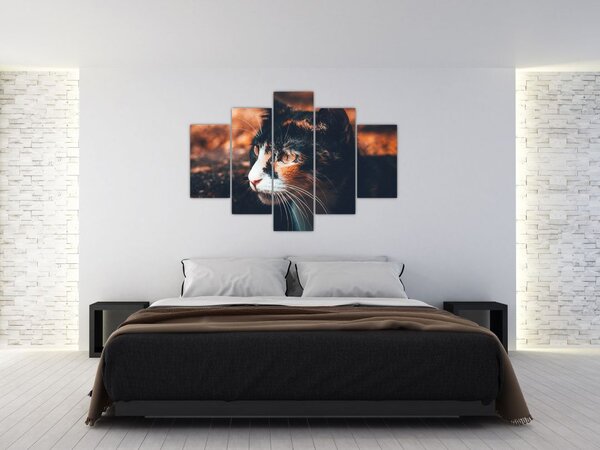 Tablou - Privirea pisicii (150x105 cm)