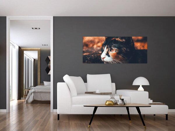 Tablou - Privirea pisicii (120x50 cm)