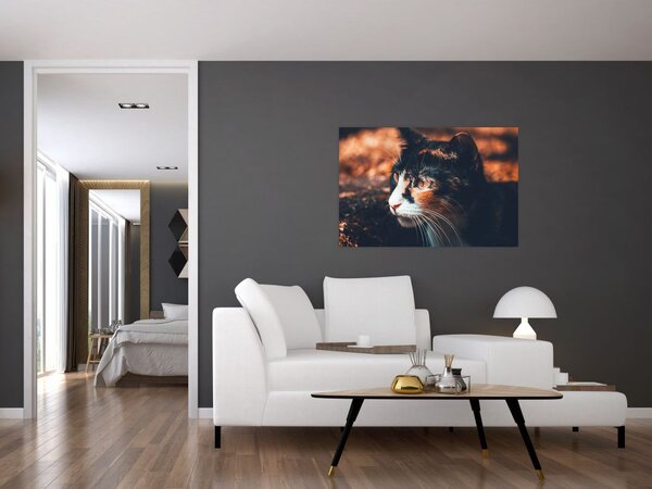 Tablou - Privirea pisicii (90x60 cm)