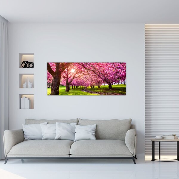 Tablou - Cireși înfloriți, Hurd Park, Dover, New Jersey (120x50 cm)