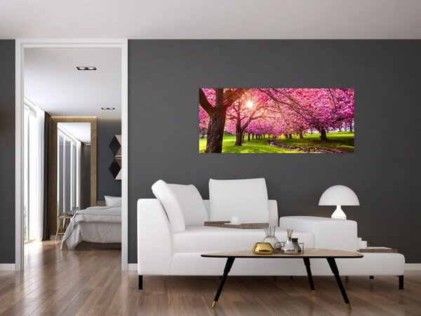 Tablou - Cireși înfloriți, Hurd Park, Dover, New Jersey (120x50 cm)
