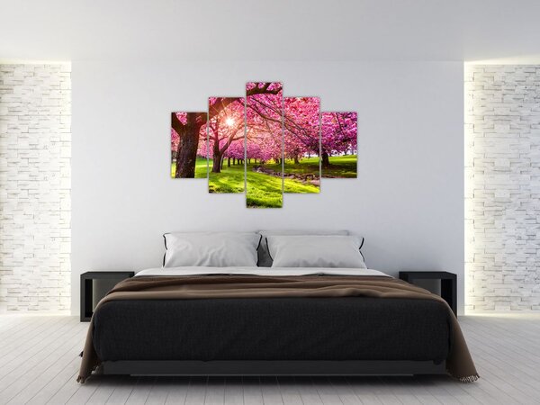 Tablou - Cireși înfloriți, Hurd Park, Dover, New Jersey (150x105 cm)